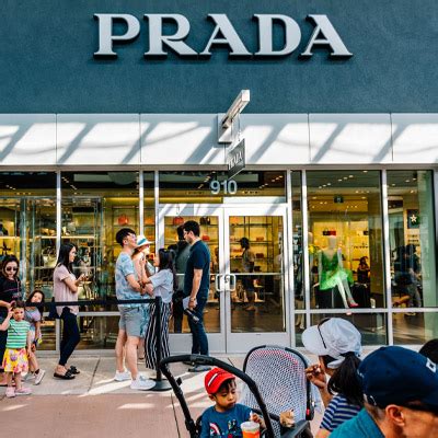 prada observia|Prada Livermore.